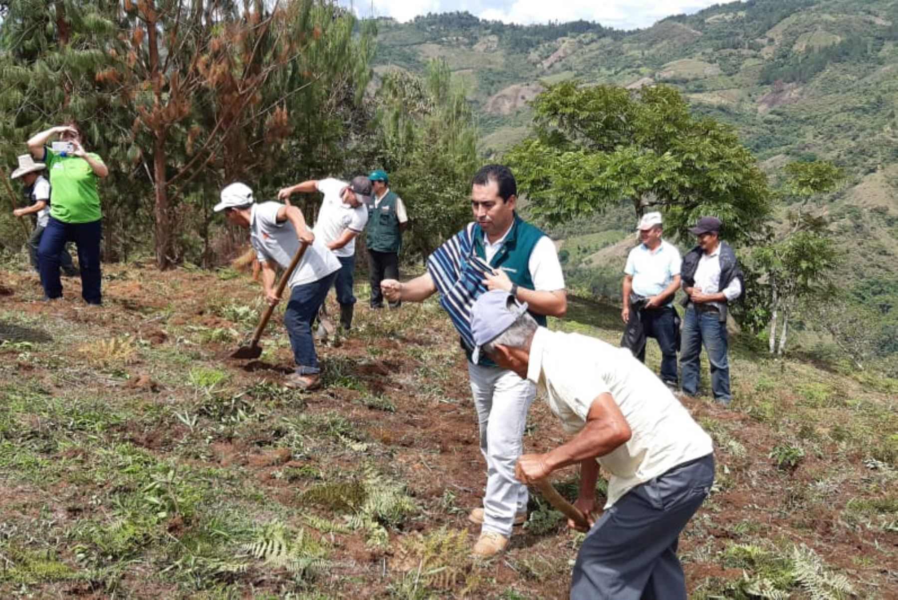 Cerca de 2,000 productores y sus familias de las zonas rurales de Ayabaca, Huancambamba y Morropón, en la región Piura, se beneficiarán con campaña de siembra de patos.