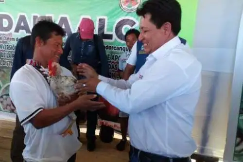 Loreto: comunidades agropecuarias del distrito de Urarinas mejorarán su nutrición con proyectos productivos como el "Mejoramiento del servicio de apoyo para la producción de gallinas criollas mejoradas”.