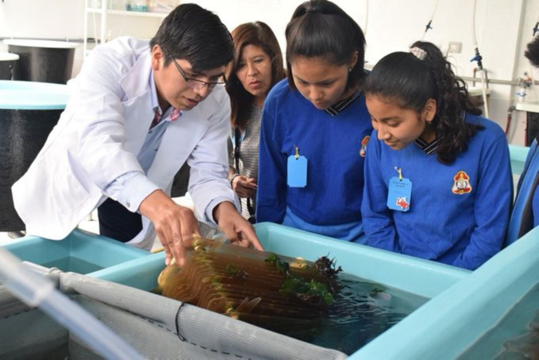Instituto del Mar del Perú difundirá su labor científica en 13 ciudades del país, este viernes 15 de noviembre  en el evento "Imarpe abre sus puertas".