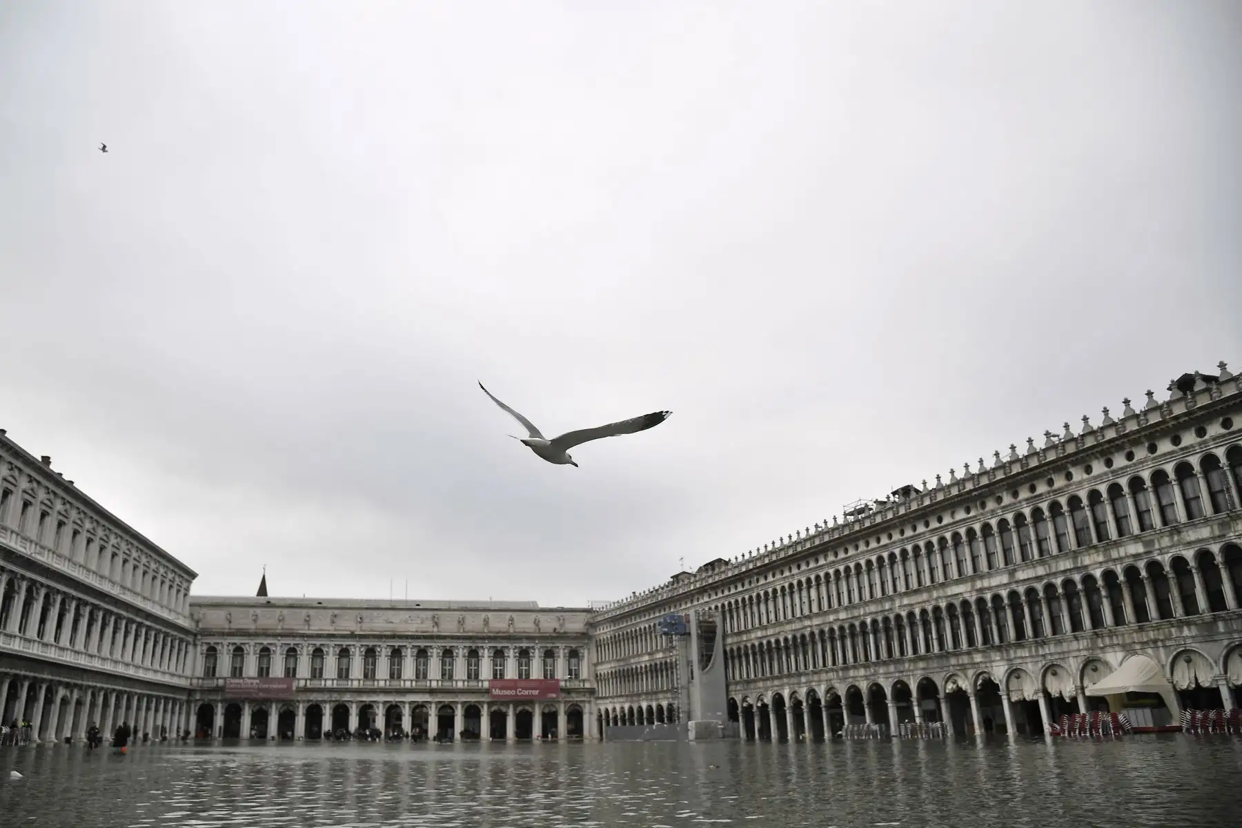 Una gaviota vuela sobre la inundada plaza de San Marcos después de un nivel excepcional de agua durante la marea alta durante la noche en Venecia.
Foto: AFP
