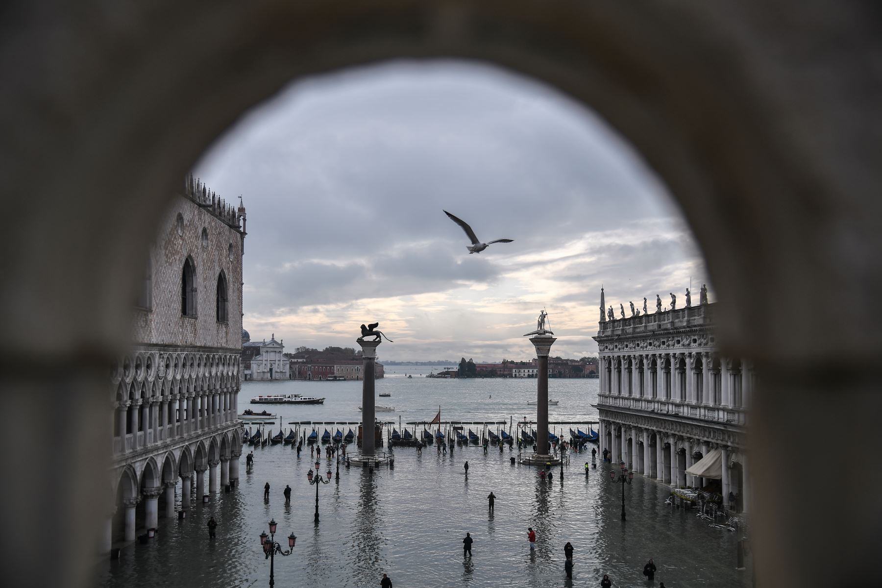 Una vista general muestra el Palacio Ducal con vistas a la inundada Plaza de San Marcos, la estatua de bronce alada del León de San Marcos, las góndolas y la laguna veneciana en la distancia después de una marea alta excepcional  durante la noche en Venecia.
Foto: AFP