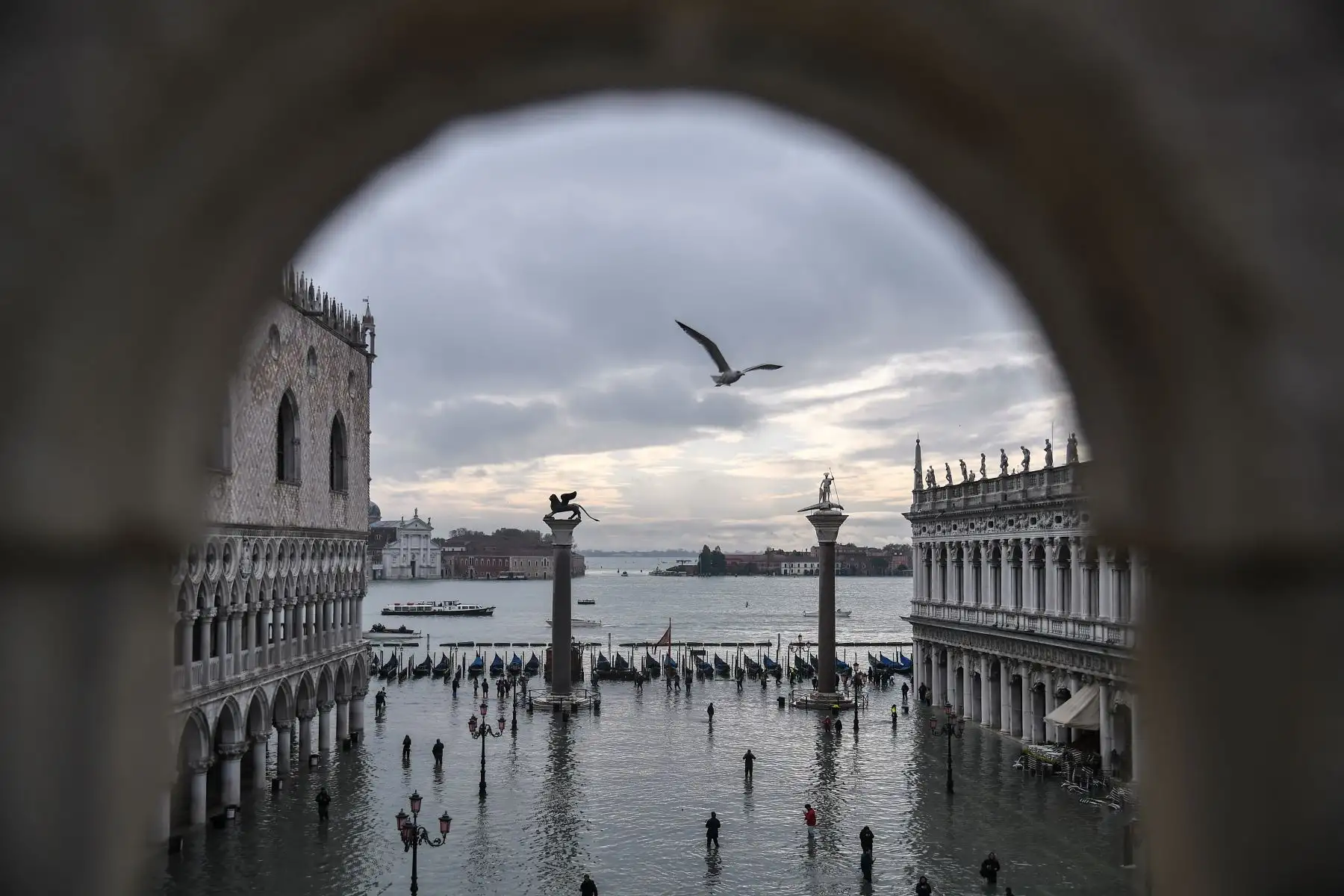 Una vista general muestra el Palacio Ducal con vistas a la inundada Plaza de San Marcos, la estatua de bronce alada del León de San Marcos, las góndolas y la laguna veneciana en la distancia después de una marea alta excepcional  durante la noche en Venecia.
Foto: AFP