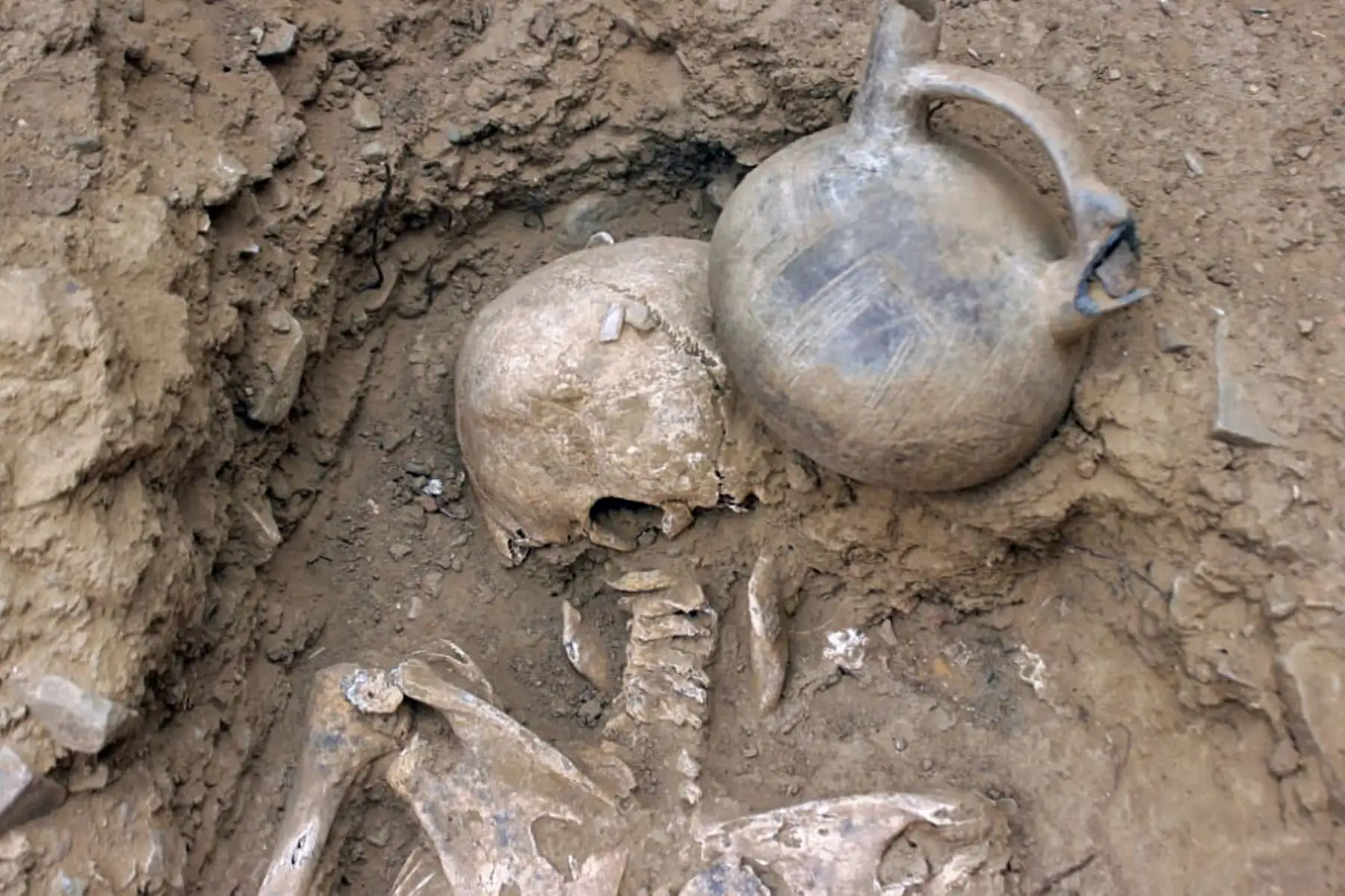 Restos humanos en el sitio de excavación de El Toro, donde se desenterró un templo megalítico de 3.000 años de antigüedad, en Oyotun, provincia de Chiclayo, departamento de Labayeque, Perú.
El templo supuestamente se utilizó para organizar rituales paganos de culto al agua en el antiguo Perú.
Foto: AFP