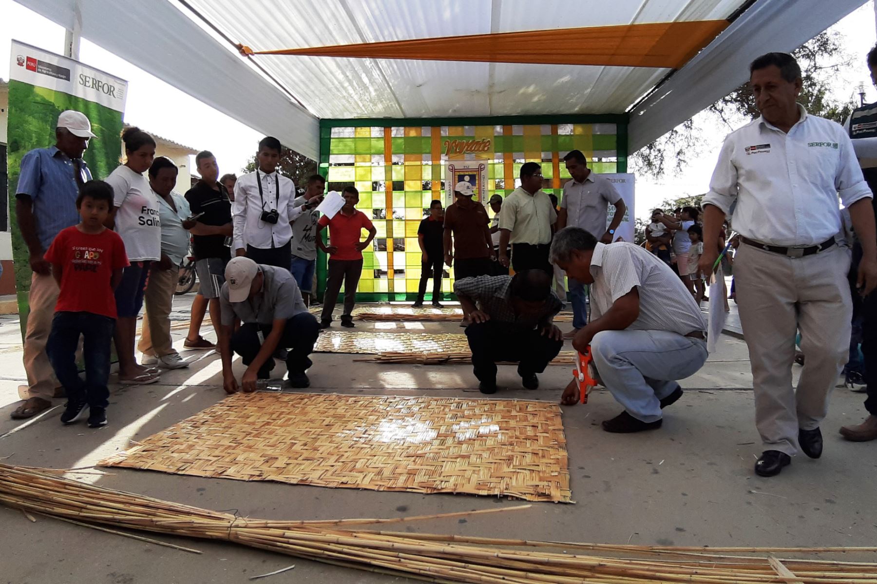 Piura: en Viviate celebran la Semana Forestal con concurso "Mejor tejedor de esteras 2019"