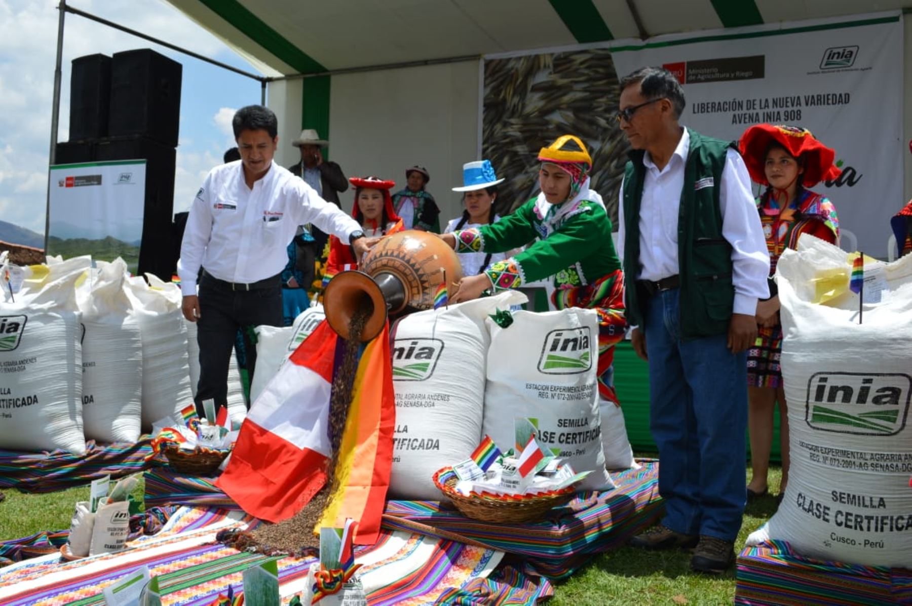 Más de 5,000 ganaderos de Cusco se beneficiarán con nueva variedad de avena forrajera presentada por el INIA. ANDINA/Difusión