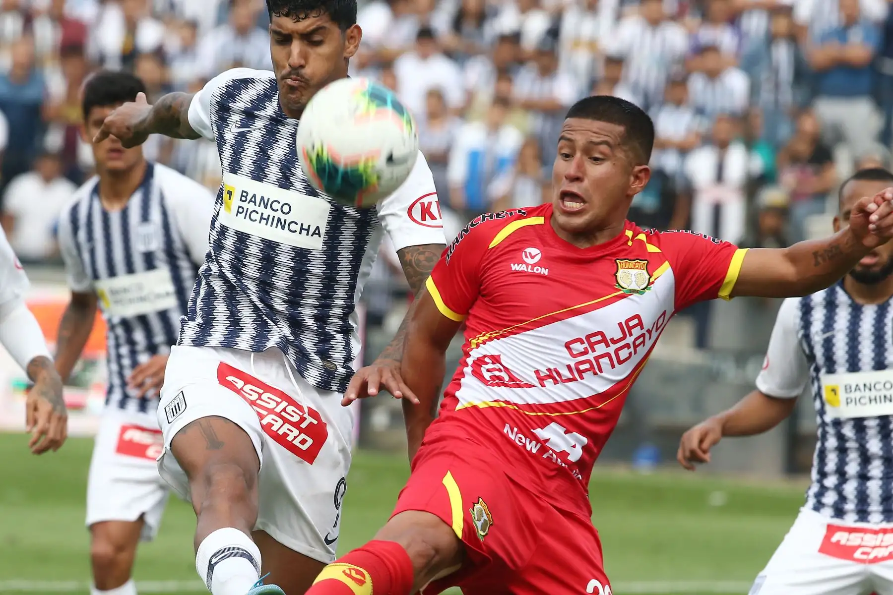 Federico Rodriguez celebra el gol de Alianza Lima ante  Sport Huancayo por la fecha 16 del Torneo Clausura de la Liga 1en el estadio Alejandro Villanueva de La Victoria.
Foto: ANDINA/Vidal Tarqui