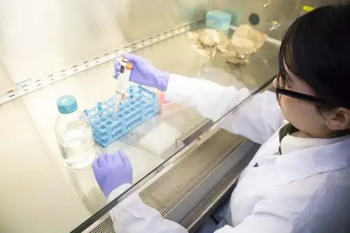 El biofilm provee una barrera física a las bacterias, por lo que están fisiológicamente adaptadas para subsistir ante condiciones extremas de inanición y toxicidad.