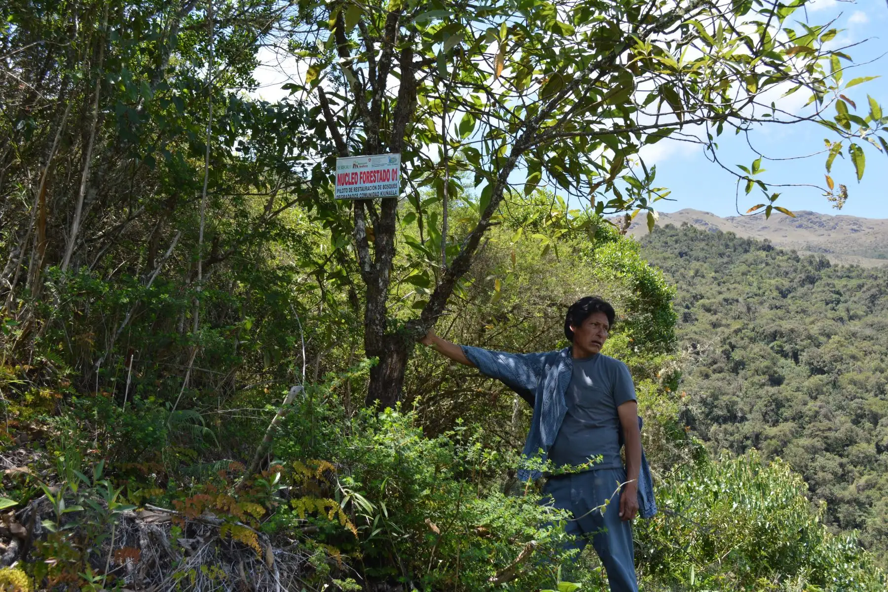 Serfor presentará Plan de Restauración de Ecosistemas y Tierras Degradadas.