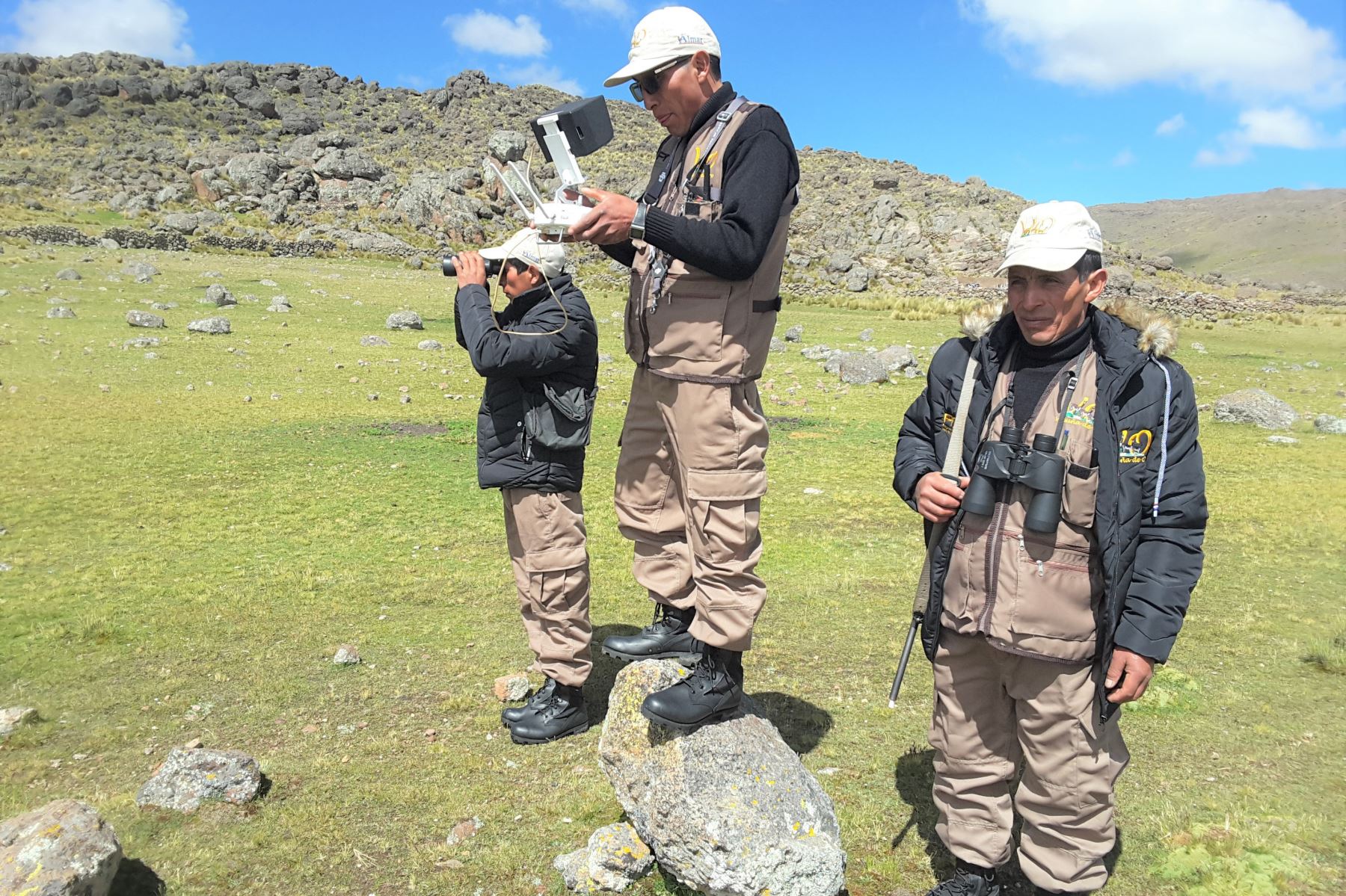 Ayacucho utiliza drones para combatir la caza furtiva de vicuñas. ANDINA/Difusión