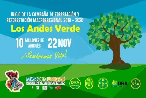 Los gobiernos regionales integrantes de la Mancomunidad de los Andes, desde el año 2015 al 2018 han contribuido reforestando 36’800,000 plantones en 33,000 hectáreas.