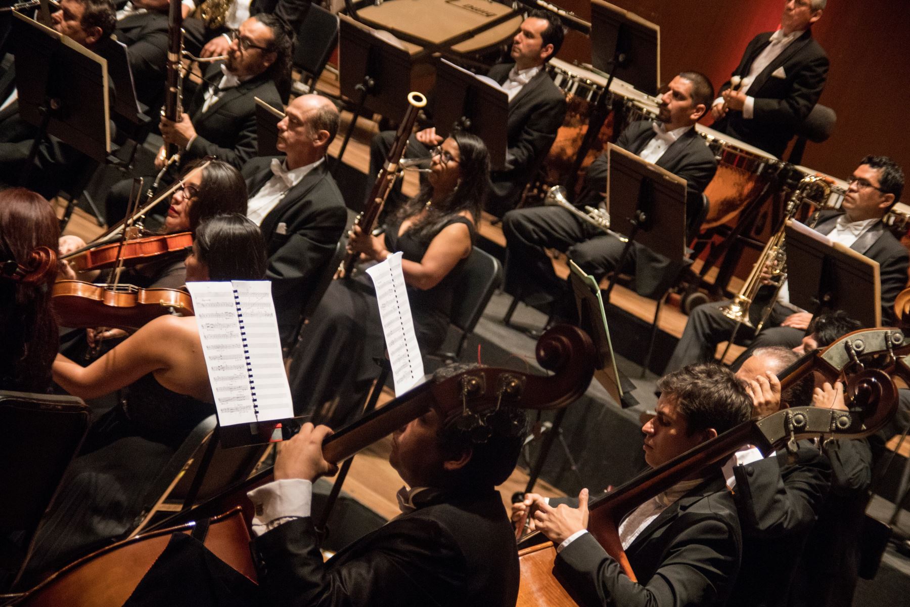 La Orquesta Sinfónica Nacional se despide del público limeño este viernes con música de Stravinski.