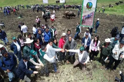 La meta para el año 2020 es contar con 150,000 hectáreas de pasto cultivado y mejorado para ayudar a nuestros productores lecheros y de carne a nivel nacional, además de los criadores de animales menores.