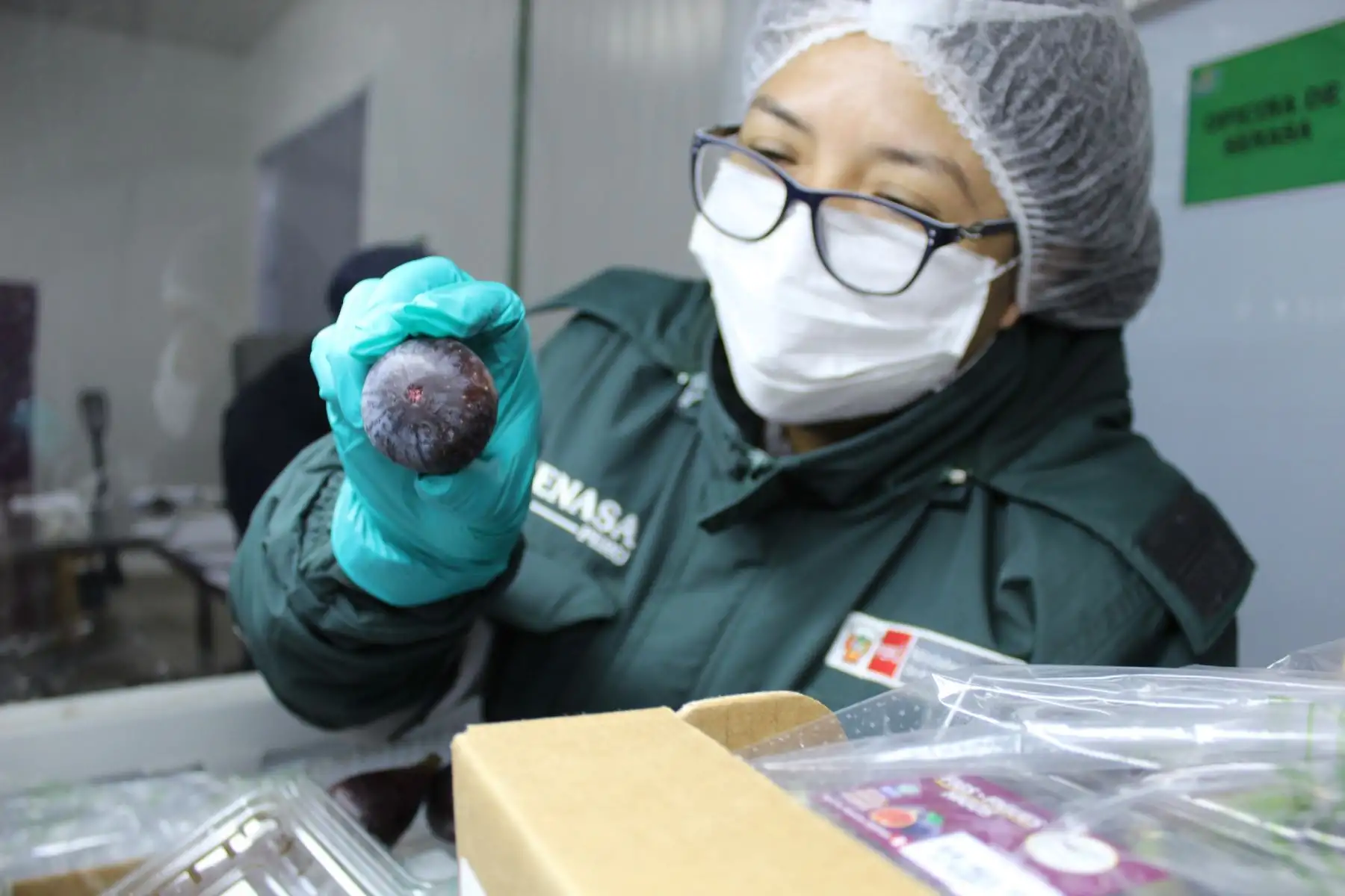 Personal de Senasa inspecciona productos agropecuarios. ANDINA/Difusión