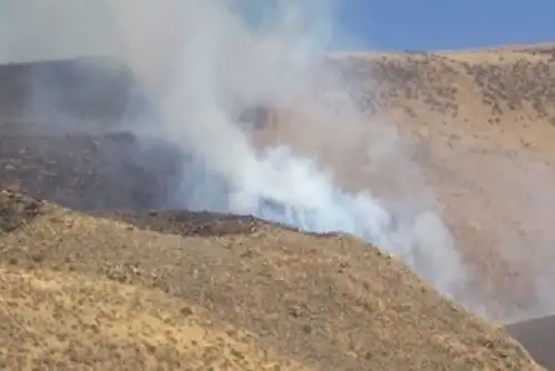 El incendio forestal se inició ayer al promediar las 09:00 horas de la mañana y fue reportado por los vecinos al Centro de Operaciones de Emergencia Regional (COER).