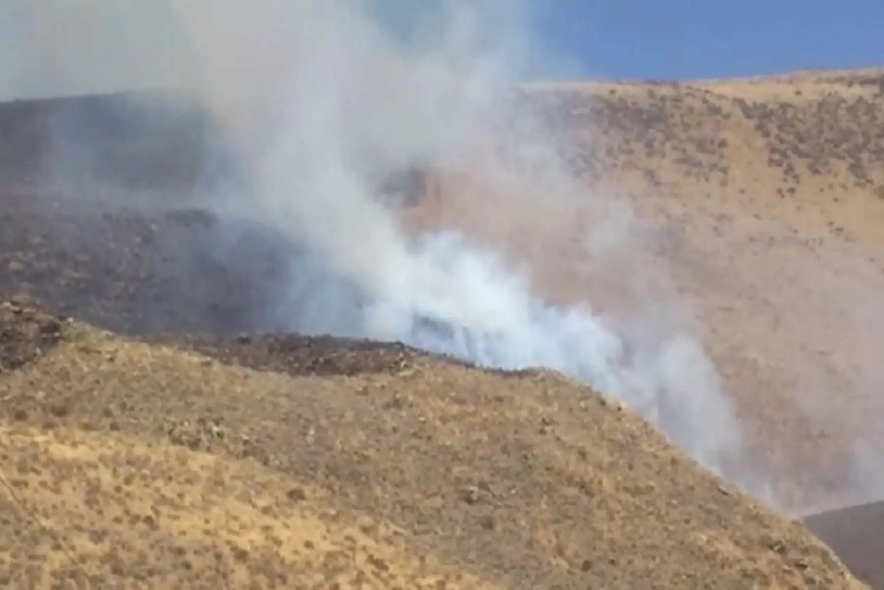 El incendio forestal se inició ayer al promediar las 09:00 horas de la mañana y fue reportado por los vecinos al Centro de Operaciones de Emergencia Regional (COER).