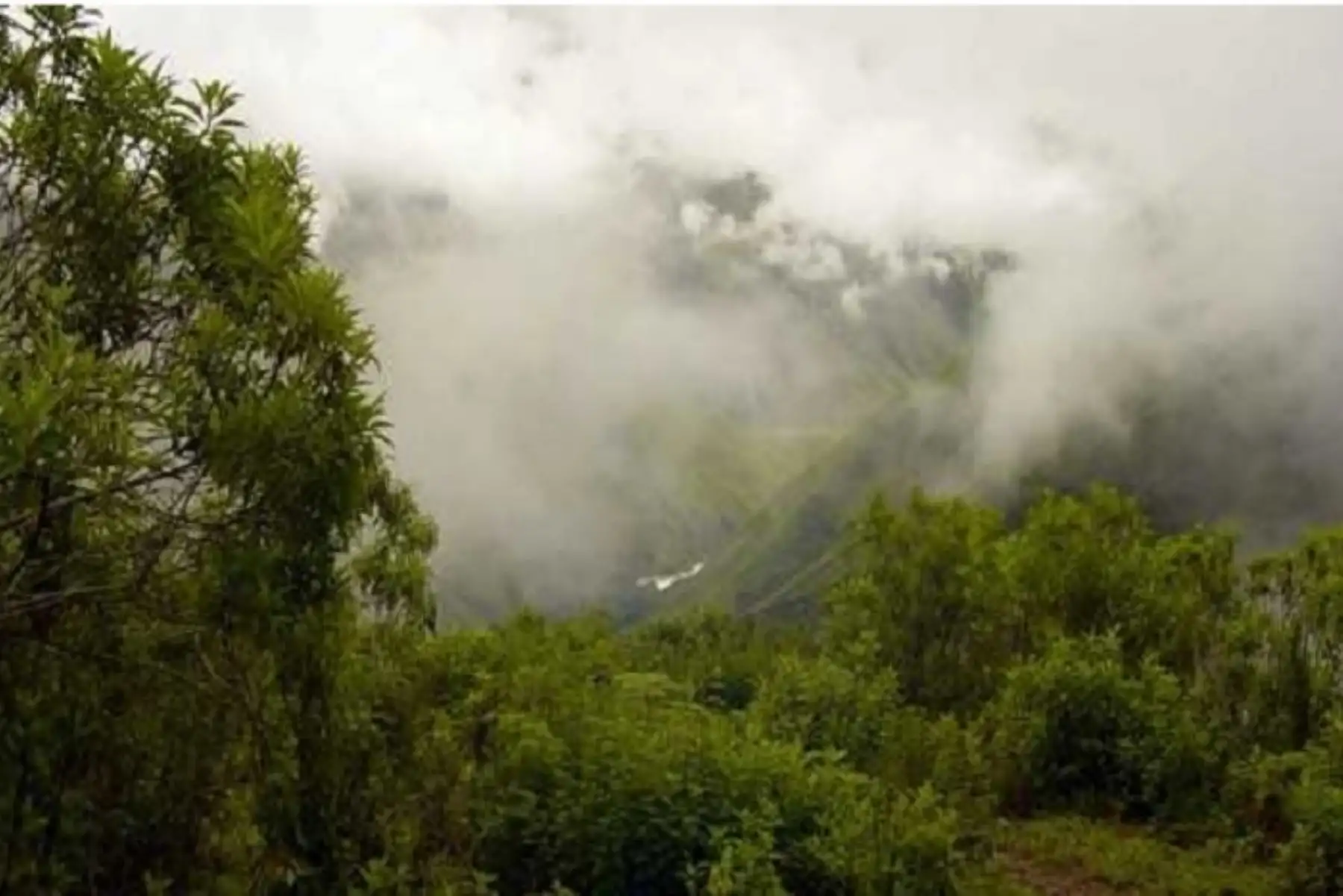 Debido a las lluvias que se registran en la Selva podrían registrarse deslizamientos, huaicos u otro tipo de movimientos en masa. Foto: ANDINA/Difusión