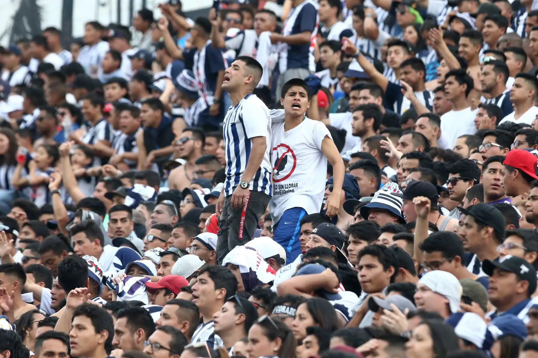 Hinchada de Alianza Lima alienta a su equipo en el estadio Alejandro Villanueva, en el partido de ida por la semifinal del play off de la Liga 1. Foto: ANDINA/Vidal Tarqui