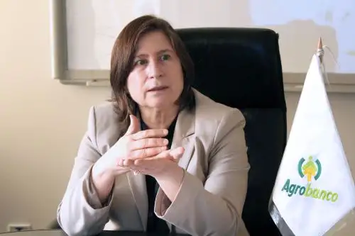 Se busca lograr un círculo virtuoso en el que se desembolsen los créditos y los agricultores cumplan con pagar, manifestó Lorena Masías. Cortesía