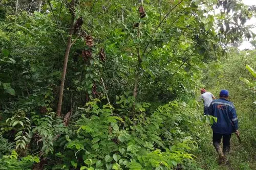 El área de conservación privada Zoo Perú I está ubicada en la provincia de Maynas, región Loreto.