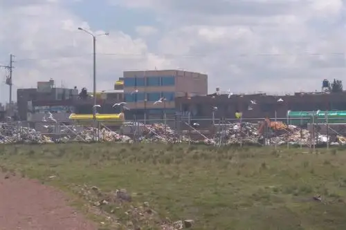 Alertan por creciente presencia de aves alrededor de aeropuerto de Juliaca, en Puno. ANDINA/Difusión