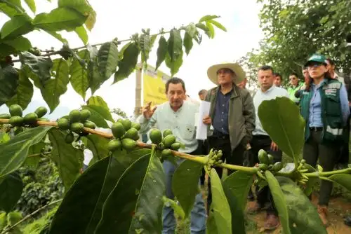 Perú propone promocionar en Ecuador la Ruta Turística del Café, que abarca las provincias cajamarquinas de San Ignacio y Jaén.
