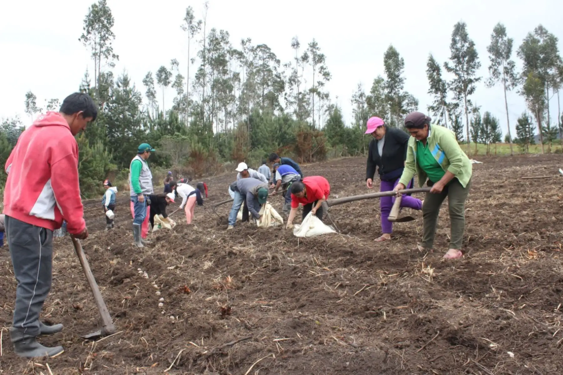 Agro Rural capacitó a "campañeros" con miras a nueva temporada de extracción de guano de las islas. Foto: ANDINA/Difusión