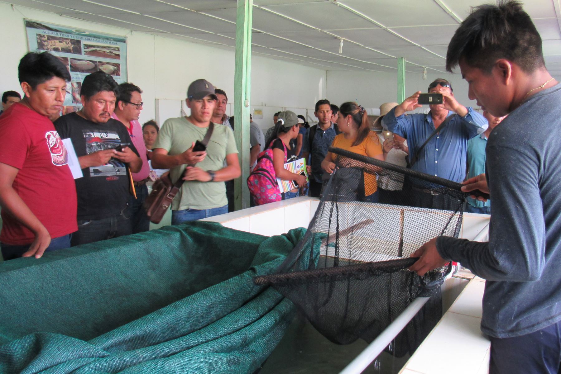Emprendedores de Ucayali, San Martín, Huánuco y Pasco aprenden nuevas técnicas de crianza de peces amazónicos. ANDINA/Difusión