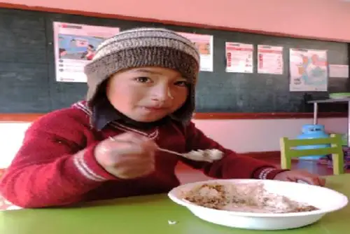 El arroz fortificado contiene micronutrientes como A, B1, B3, B6, B12, D, E, ácido fólico, hierro y zinc, lo cual mejora la nutrición y ayuda a reducir la probabilidad de contraer enfermedades.