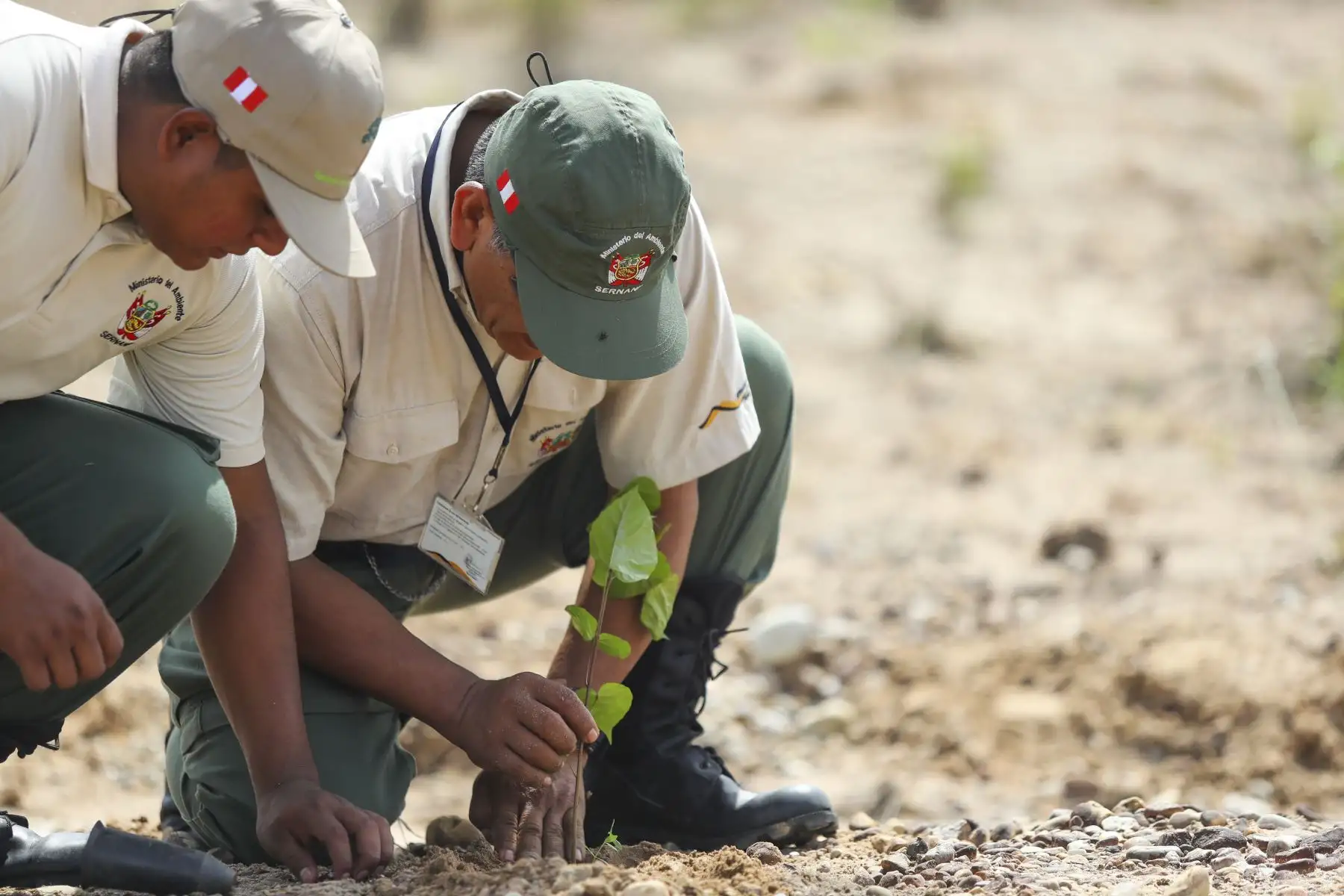 El presidente Martín Vizcarra, supervisó los trabajos de recuperación forestal en la Reserva Nacional Tambopata afectados por la minería ilegal.Foto: ANDINA/ Prensa Presidencia