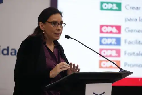 Directora de la Dirección de Inteligencia Económica y Optimización Tributaria del MEF, Miryam Yepes. ANDINA/Renato Pajuelo