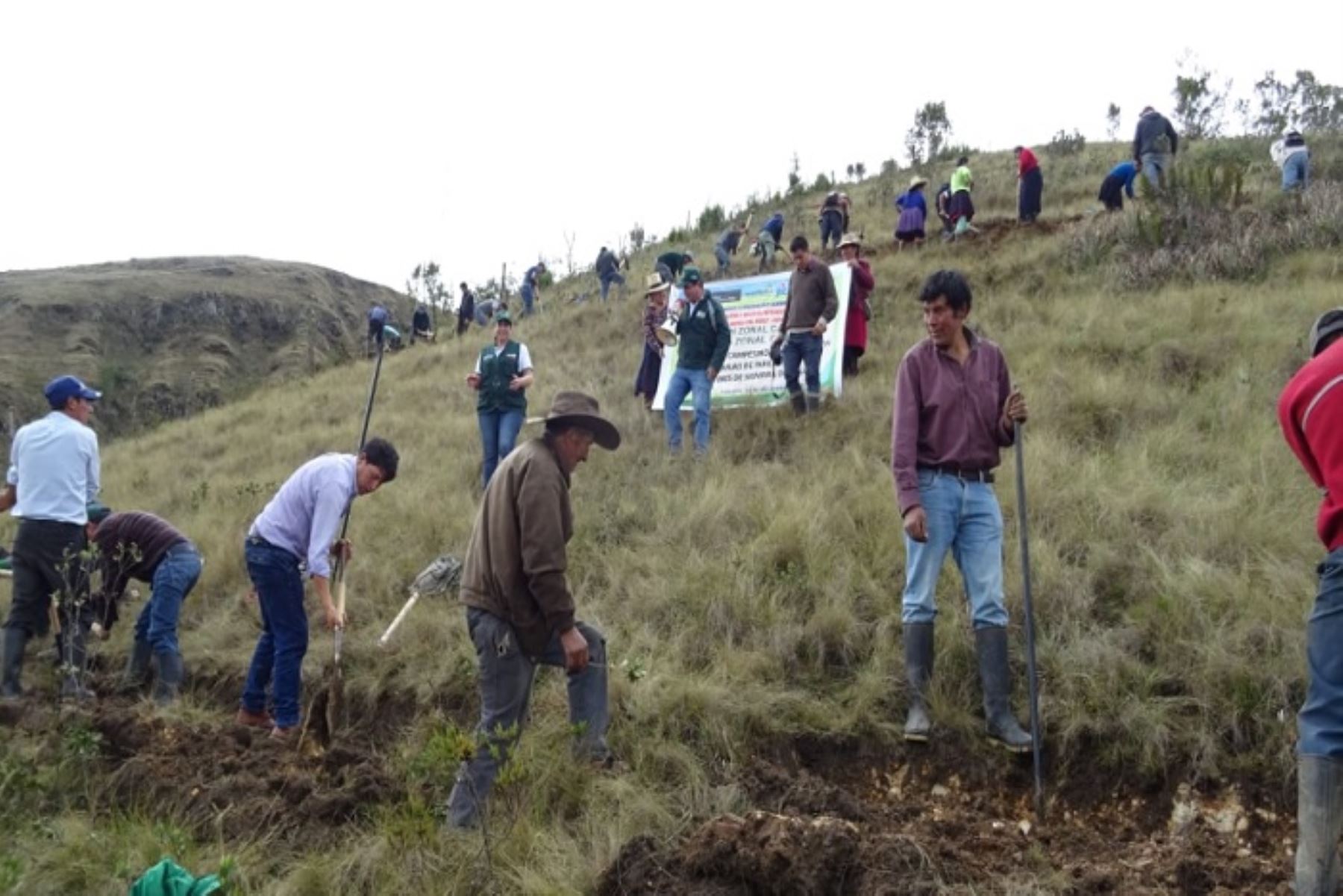 Cerca de 200 habitantes de los distritos de Huasmín y Jose Gálvez, así como de Celendín participaron en concurso organizado por Agro Rural.