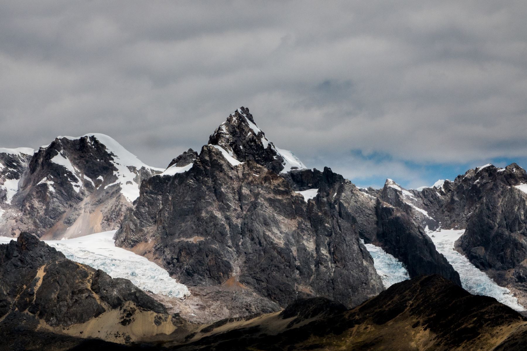 La nueva Área de Conservación Regional Ausangate ayuda a conservar los ecosistemas de glaciares y pajonales altoandinos, así como su fauna emblemática como la vicuña y el cóndor andino. Foto: SPDA