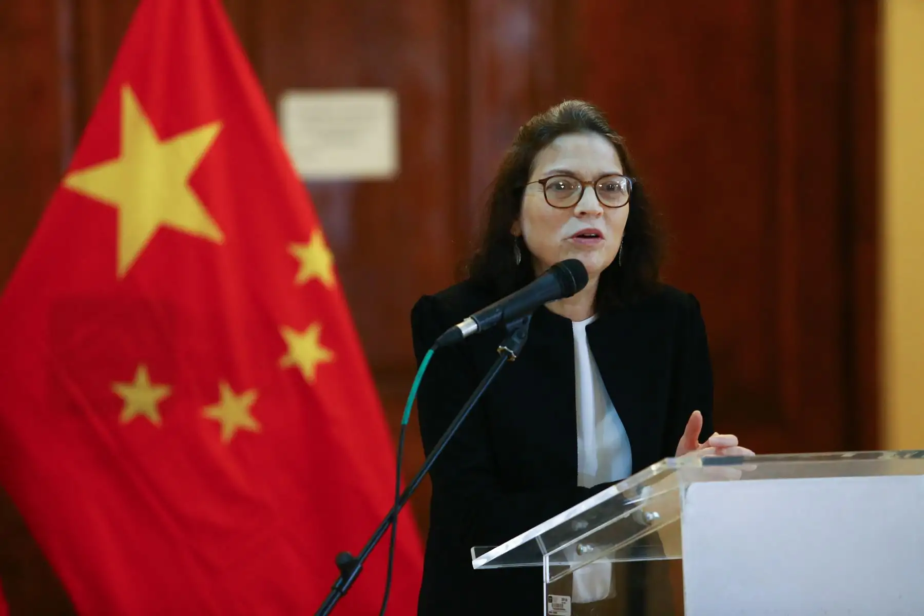 Directora de la  Gran Biblioteca Pública de Lima, Lilian Maura participa en la presentación del Libro Chino.
Este material permitirá  gozar al público con las obras producidas del gigante asiático.
Foto:ANDINA/Héctor Vinces.