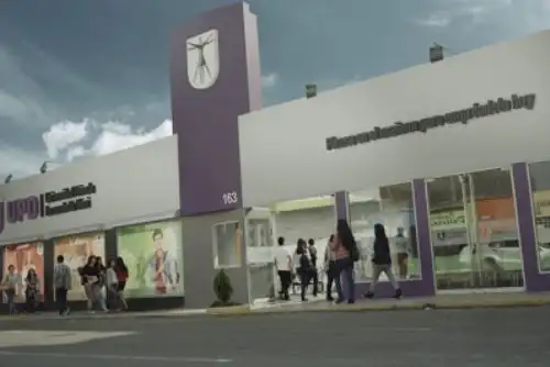 La Universidad Privada Leonardo Da Vinci atiende a 428 estudiantes y su oferta educativa está compuesta por cinco programas de pregrado.