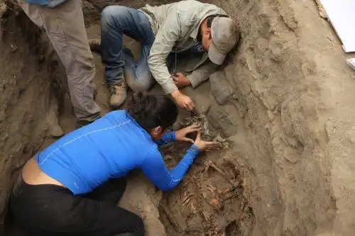 Un equipo de jóvenes arqueólogos peruanos participaron en el hallazgo del sacrificio y entierro masivo de niños de la cultura Chimú.