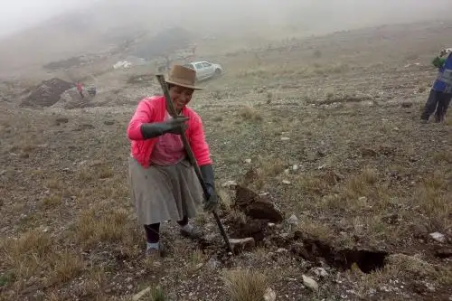 Las mujeres son las principales impulsoras de la siembra y cosecha de agua, y en la construcción de qochas, destaca el Ministerio de Agricultura.