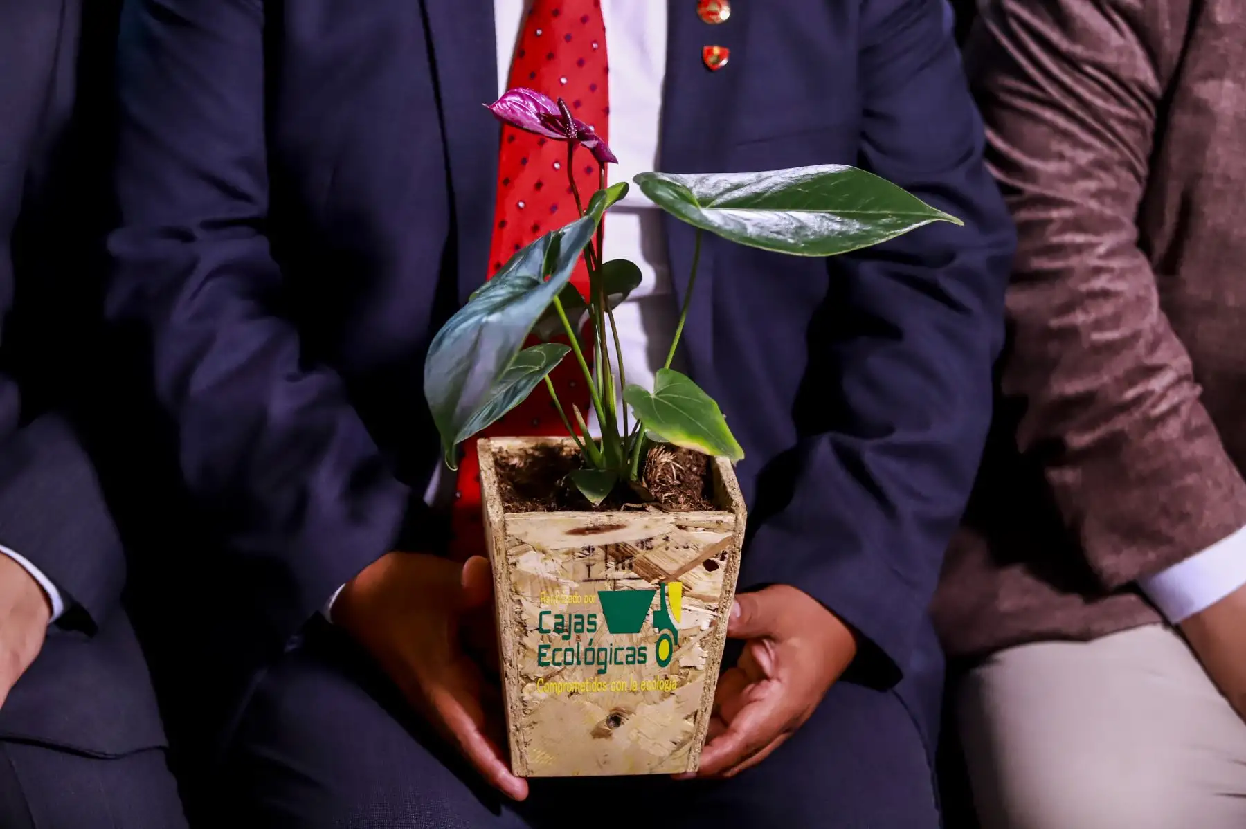 Presidente de la República, Martín Vizcarra, preside la ceremonia de entrega del Premio Nacional Ambiental Antonio Brack Egg.
Foto: ANDINA/ Prensa Presidencia