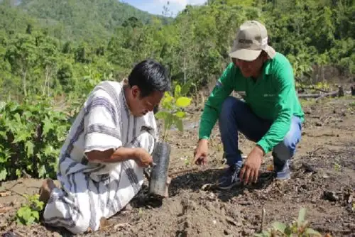 A través de la Estrategia Vraem 2021, se invirtieron más de 72 millones de soles para realizar también mantenimiento de 165 kilómetros de caminos vecinales y entregar 40 módulos de procesamiento de café y cacao, entre otras cosas.