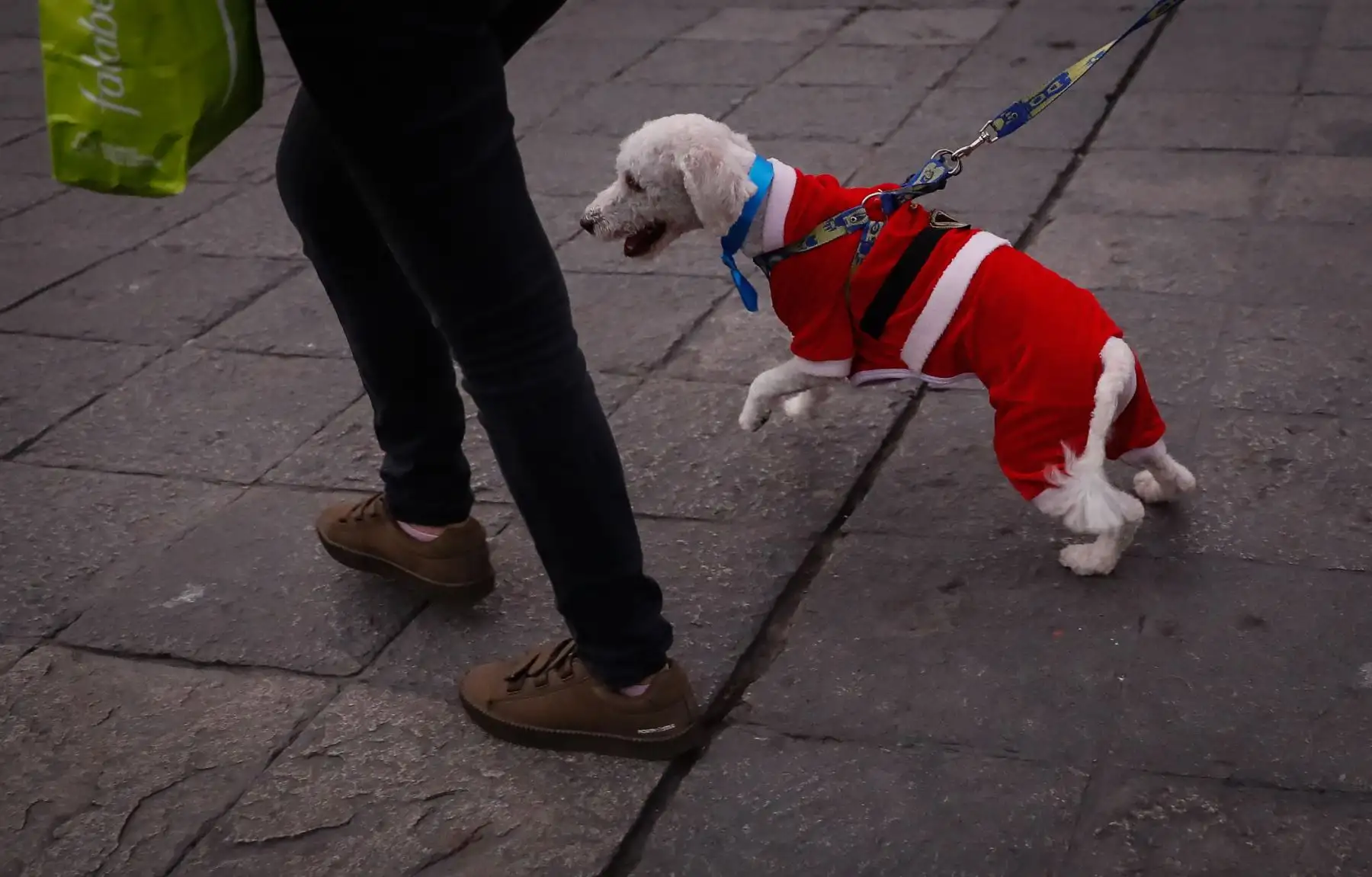 A pocos días de Navidad, limeños recorren los alrededores de Plaza de Armas para realizar sus compras. Foto: ANDINA/Renato Pajuelo