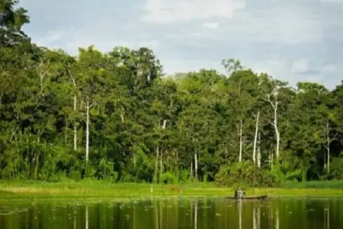 Luego de un amplio proceso de consulta previa, el Poder Ejecutivo aprobó el Reglamento de la Ley Nº 30754, Ley Marco sobre Cambio Climático (LMCC), cuyo texto está compuesto por 6 Títulos, 72 artículos y 20 Disposiciones Complementarias Finales. ANDINA/Difusión