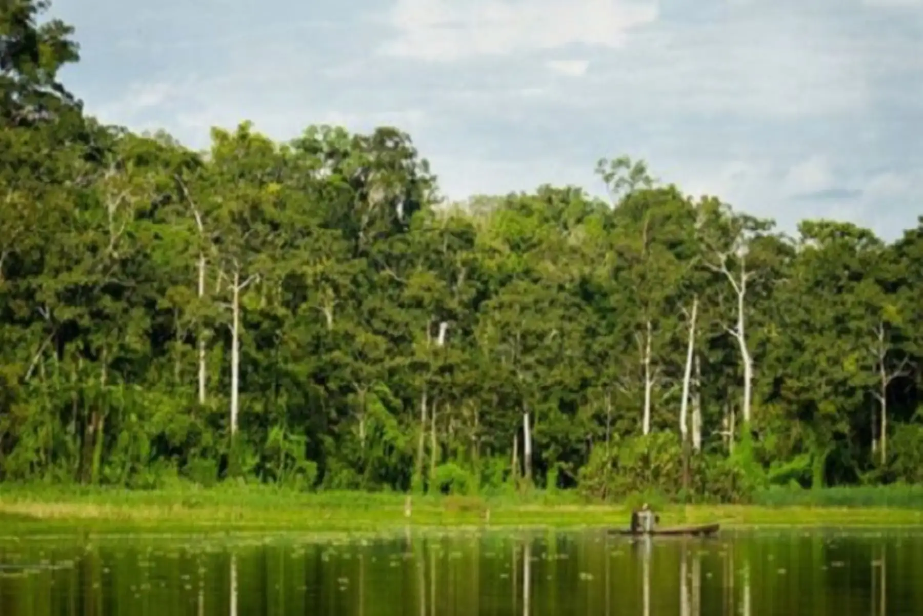 Luego de un amplio proceso de consulta previa, el Poder Ejecutivo aprobó el Reglamento de la Ley Nº 30754, Ley Marco sobre Cambio Climático (LMCC), cuyo texto está compuesto por 6 Títulos, 72 artículos y 20 Disposiciones Complementarias Finales. ANDINA/Difusión