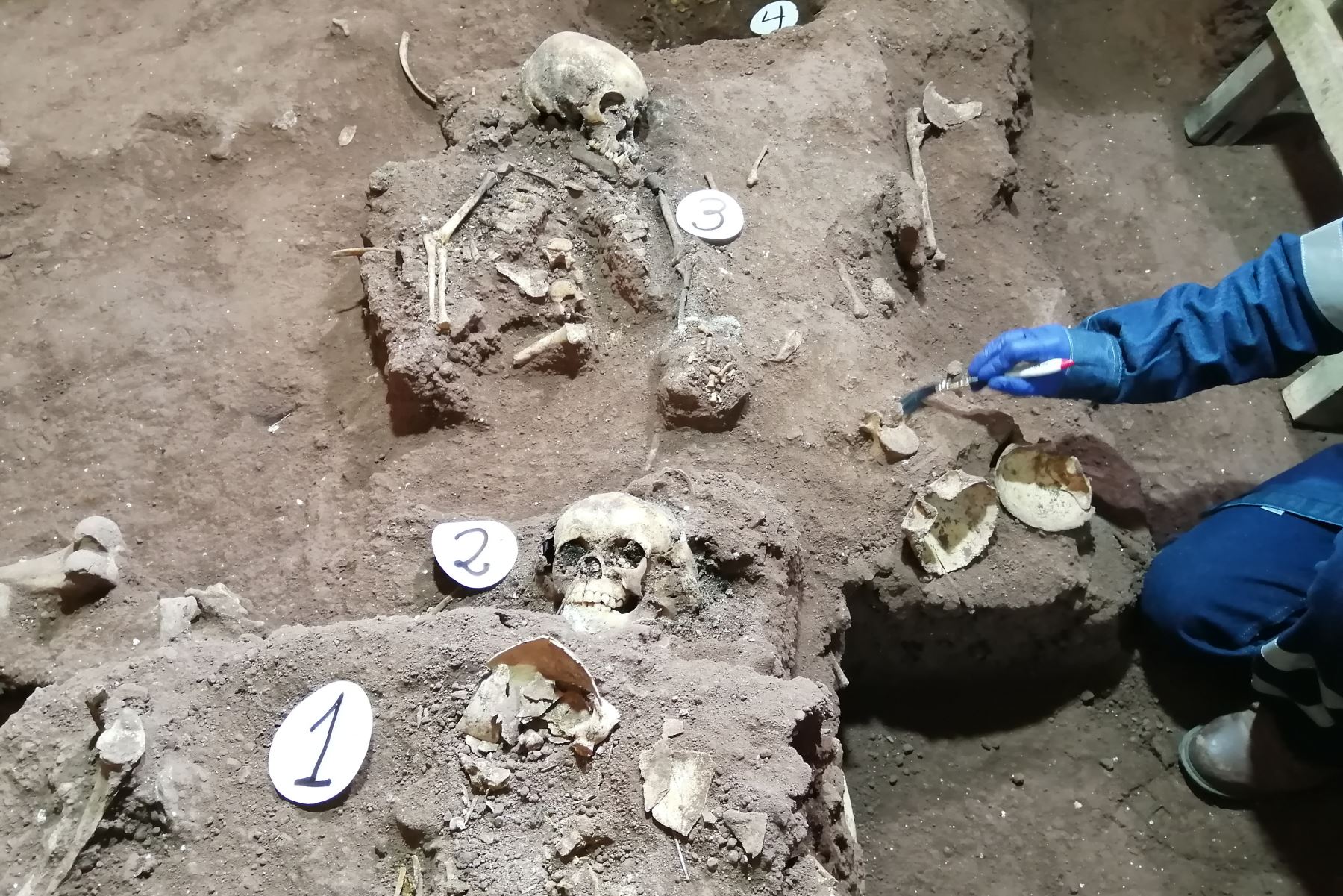 Arqueólogos descubren osamentas humanas de bebés y adultos en base de templo de Belén, en Cusco. Foto: Percy Hurtado