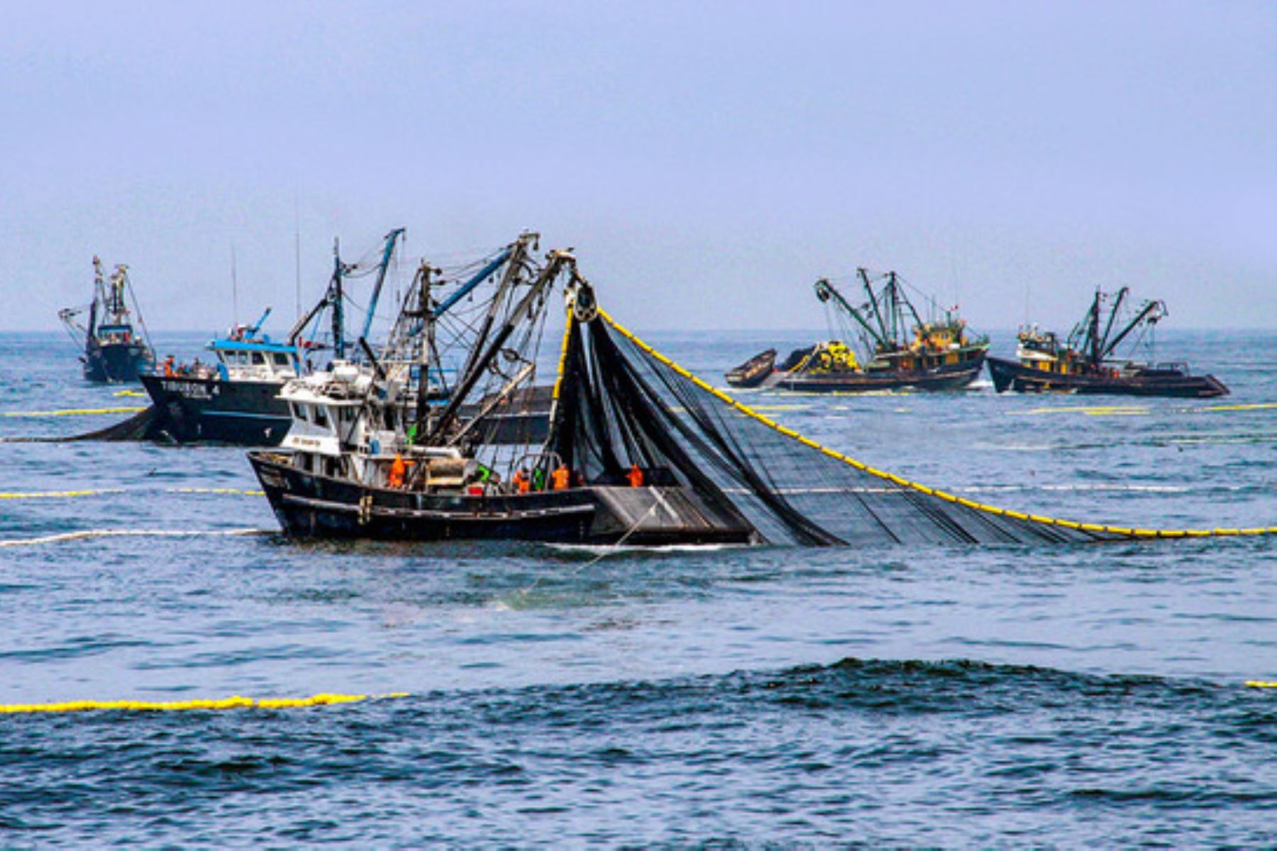 Pesca de anchoveta en el mar peruano. ANDINA/Difusión