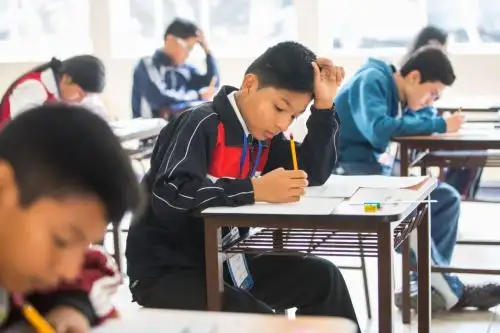 Solvi es una plataforma online que te ayudará en tus cursos de Ciencias y Matemáticas