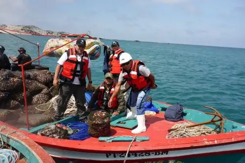 Fiscalización de pesca en el Callao. Foto: Cortesía.
