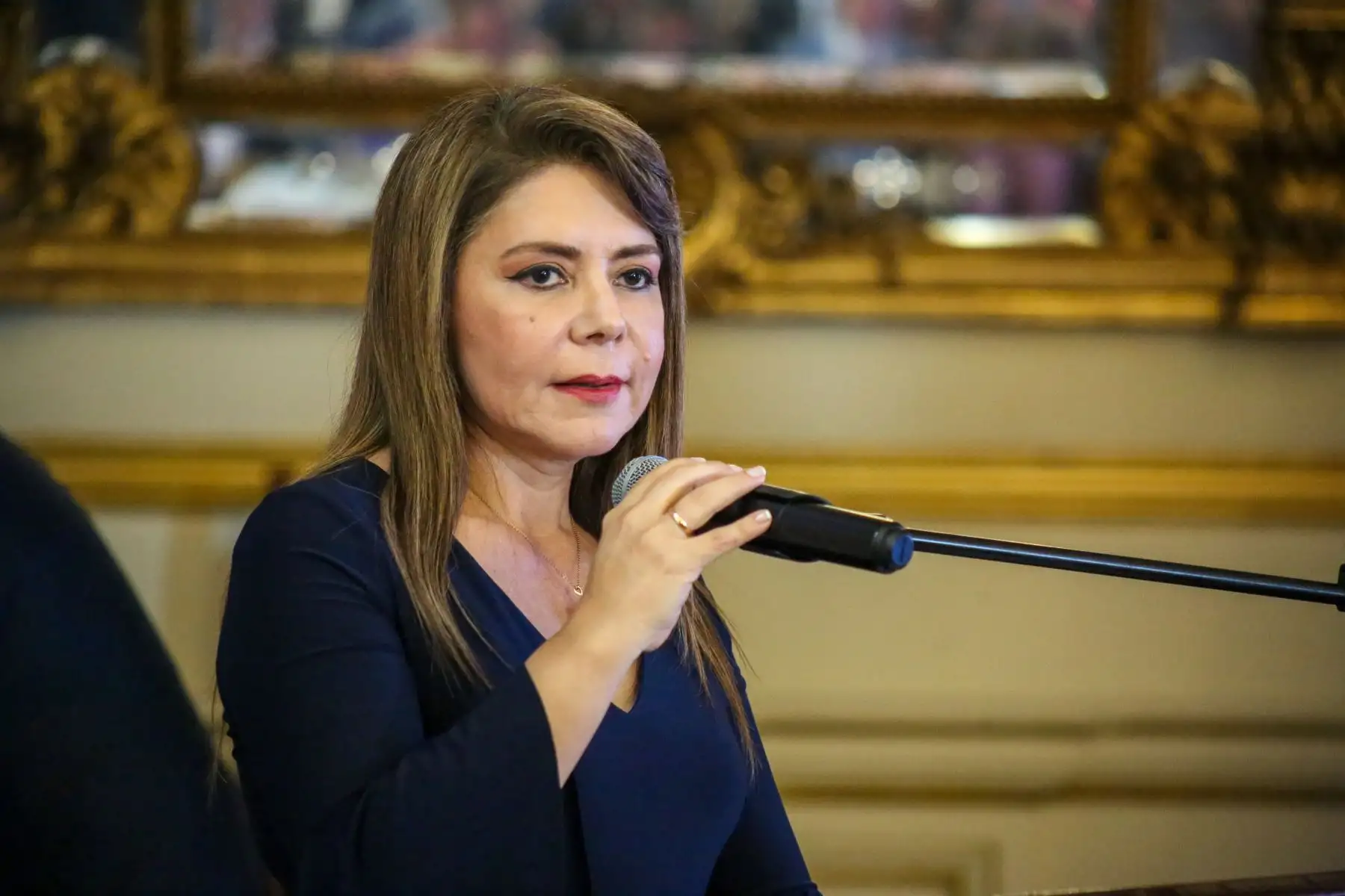 La ministra de Salud, Elizabeth Hinostroza Pereyra aseguró que el ejemplo familiar es la base para cualquier estrategia de salud mental. Foto: ANDINA/Difusión