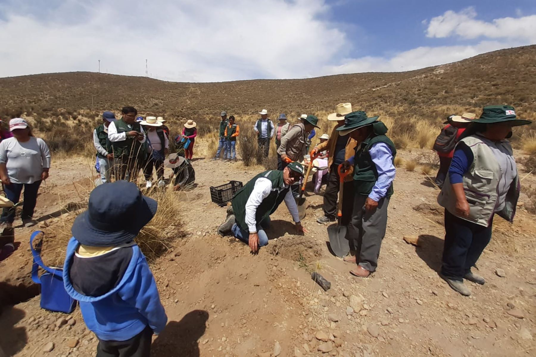 Vivero forestal beneficia a comuneros de zonas altoandinas del distrito de Polobaya, en Arequipa. ANDINA/Difusión