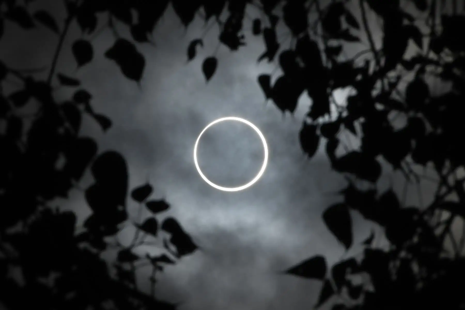 La luna cubre totalmente el sol en un eclipse solar de "anillo de fuego" visto desde la ciudad de Dindigul, en el sur de la India. Foto: AFP