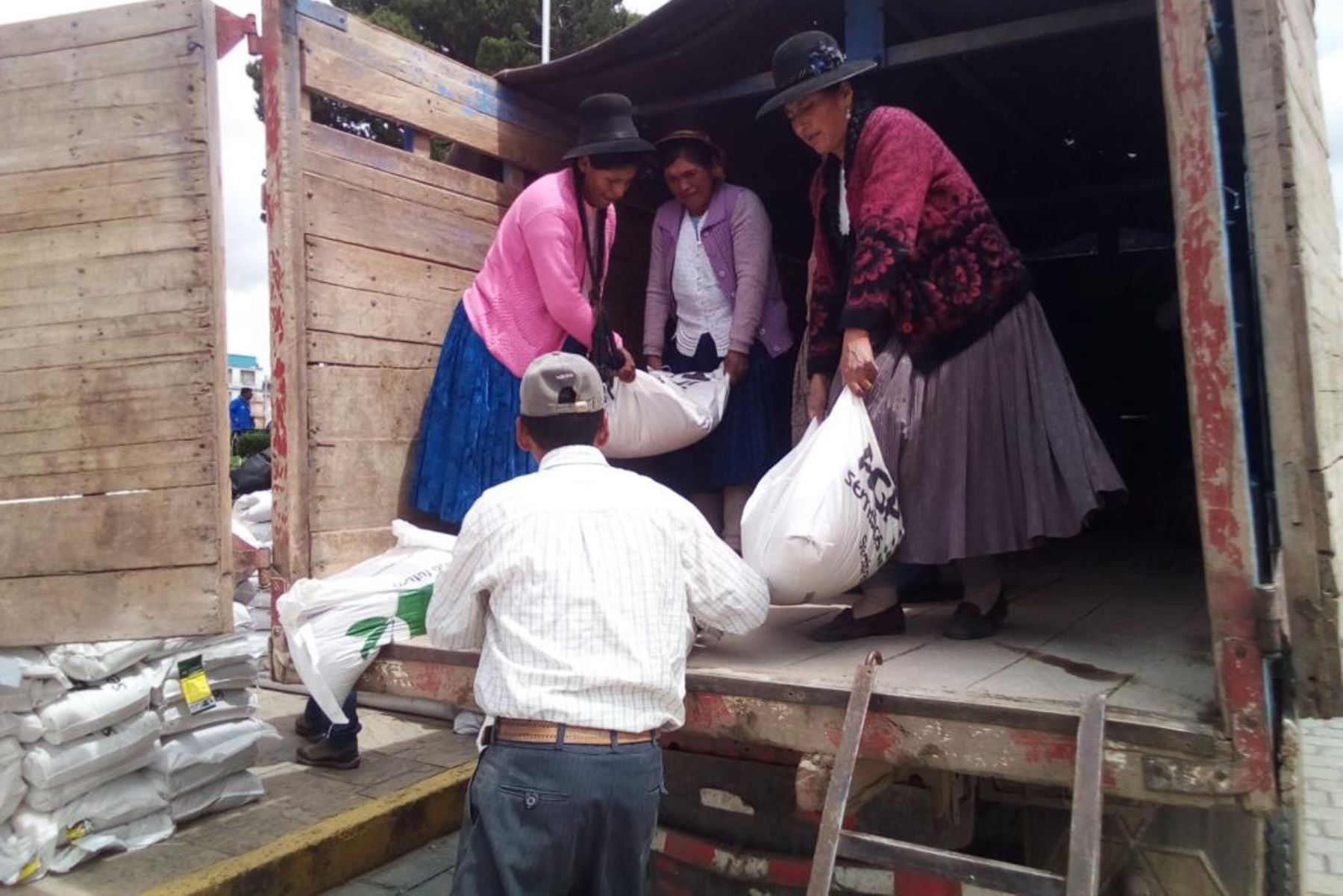 Ministerio de Agricultura entrega semillas de pastos mejorados a productores de la provincia de Melgar, en Puno. ANDINA/Difusión