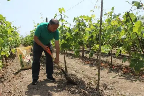 Agricultores. Foto: ANDINA/Difusión